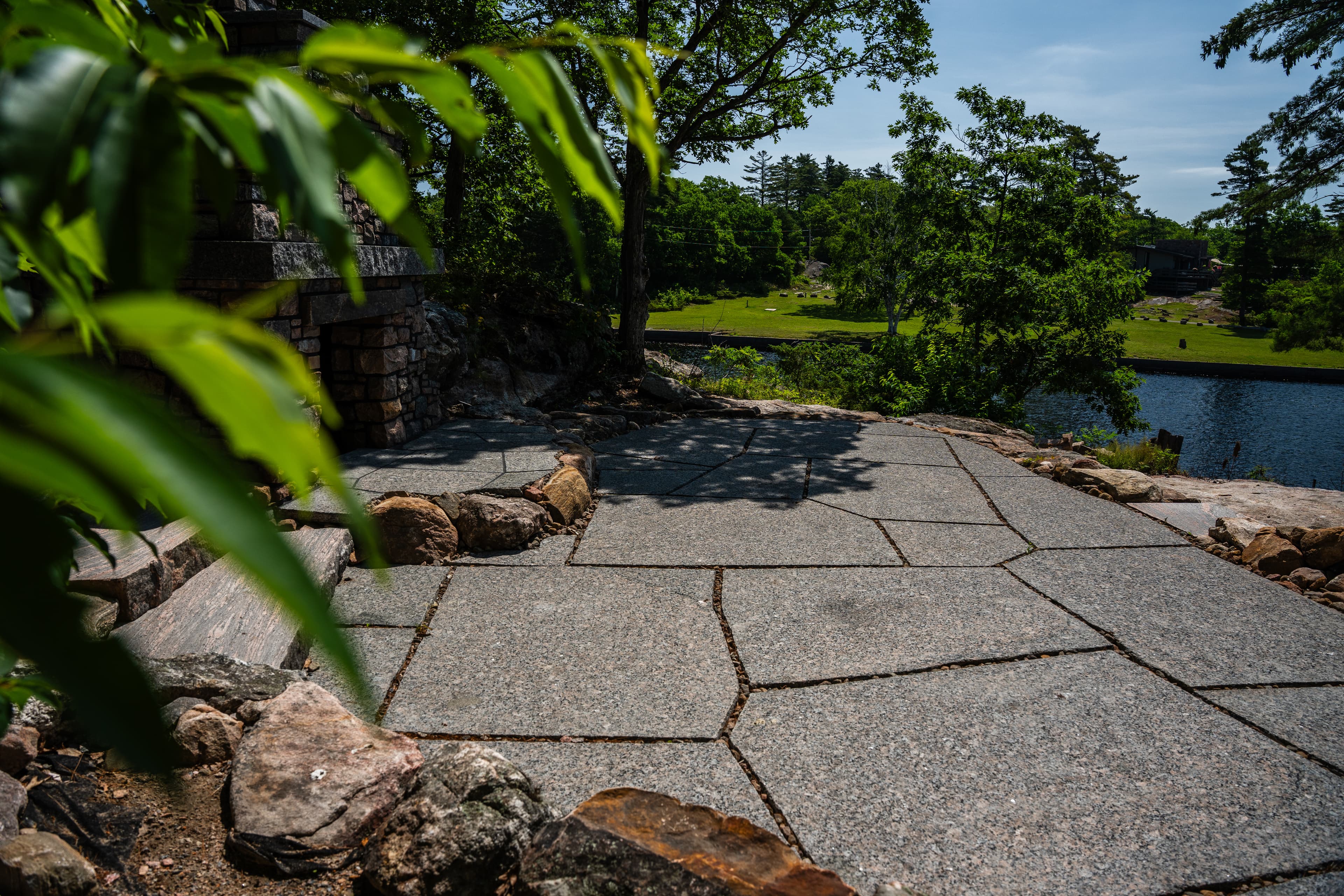 Harmony Brown project 4