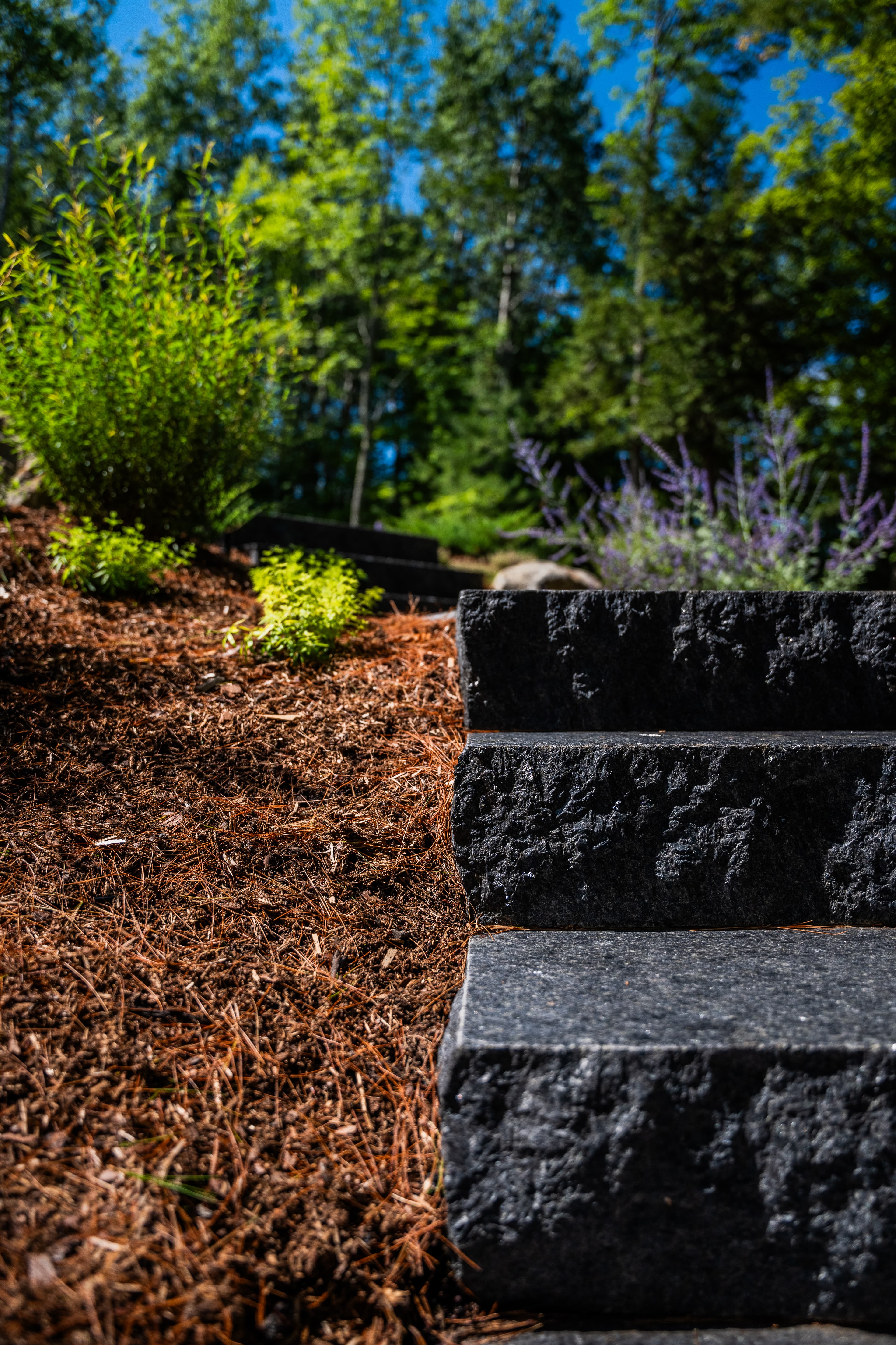 Matte Black project 1